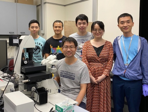 Dr Chaogu Zheng’s research team at the School of Biological Sciences, HKU